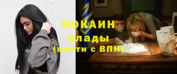 стаф Бородино