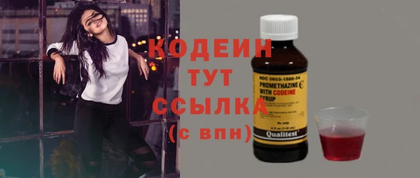 стаф Бородино
