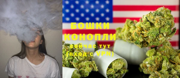 стаф Бородино